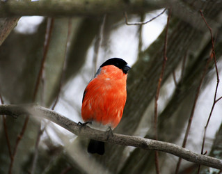 Similar image 21148283