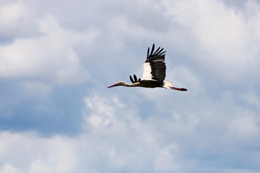 Similar image 21148284