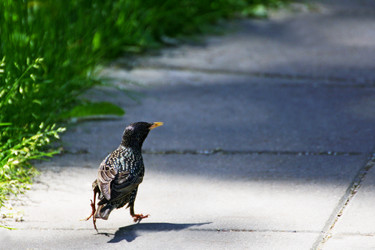 Similar image 21148285