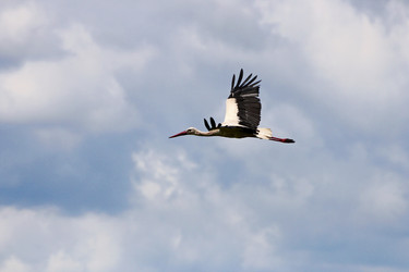 Similar image 21148288