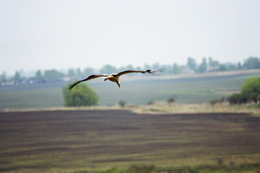 Similar image 21148290