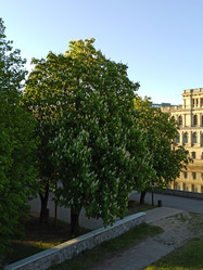 Similar image 21154210