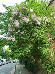 Similar image 21154211