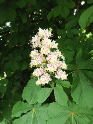 Similar image 21154213