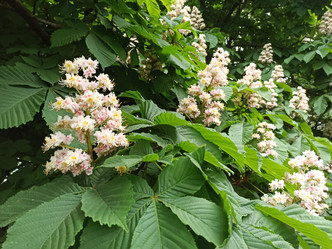 Similar image 21154214