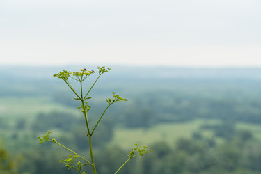 Similar image 21163783