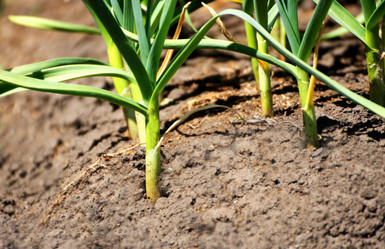 Similar image 21148300