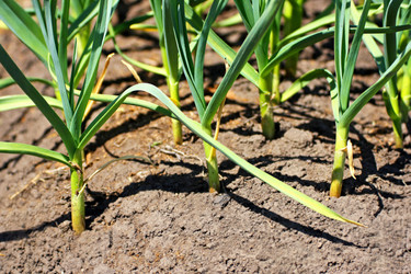 Similar image 21148302