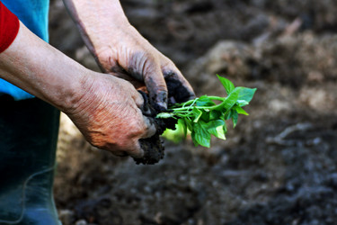 Similar image 21148320