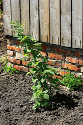 Similar image 21148322