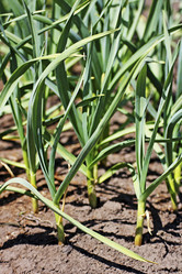 Similar image 21148323