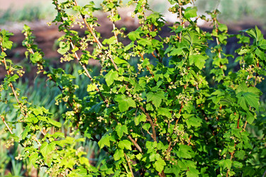 Similar image 21148324