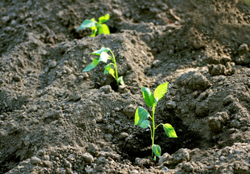 Similar image 21148348