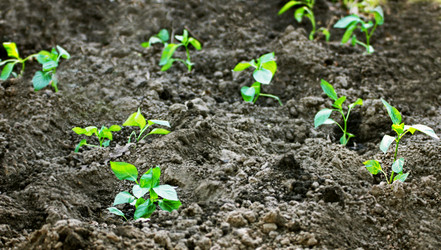 Similar image 21148349