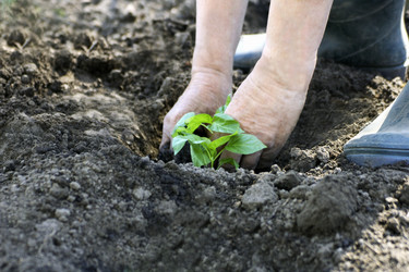 Similar image 21148352