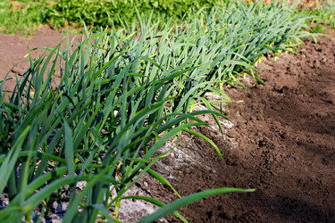 Similar image 21148353