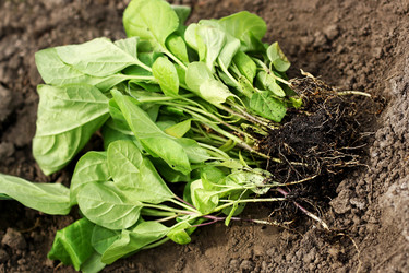 Similar image 21148354