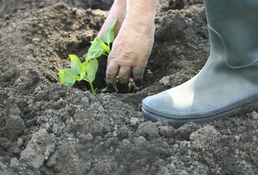 Similar image 21148355