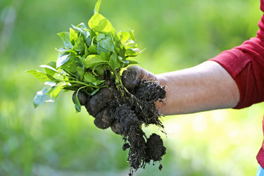 Similar image 21148357