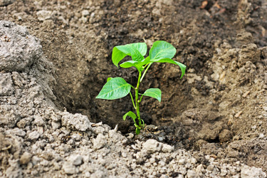 Similar image 21148385