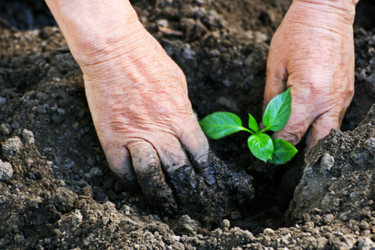 Similar image 21148387