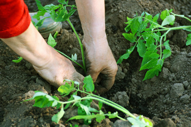 Similar image 21148389