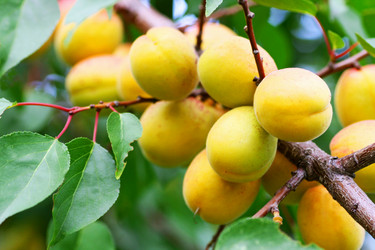 Similar image 21148763