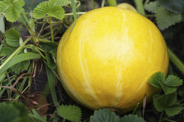 Similar image 21148764