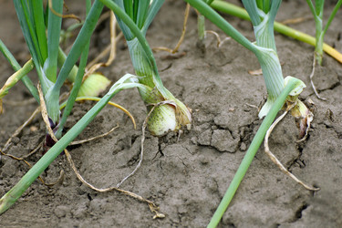 Similar image 21148769