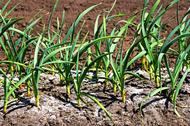 Similar image 21148770