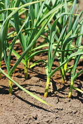 Similar image 21148771