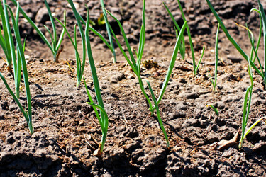 Similar image 21148772