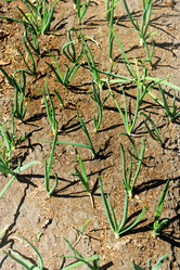 Similar image 21148774