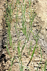 Similar image 21148776