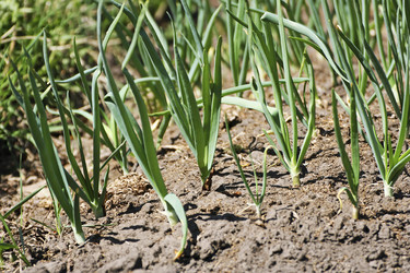 Similar image 21148778