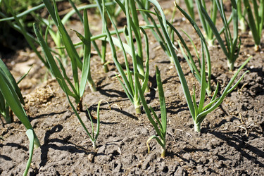 Similar image 21148779