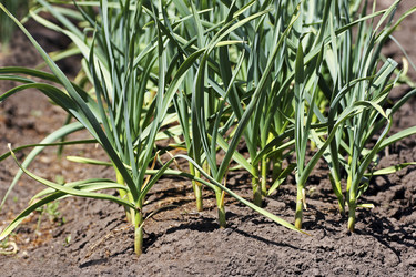 Similar image 21148783