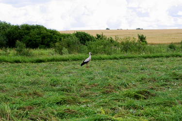 Similar image 21148784