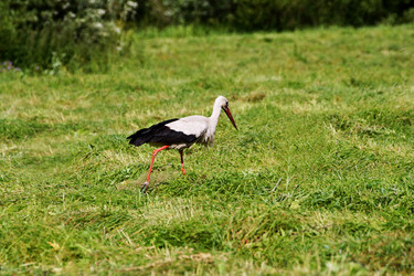 Similar image 21148785