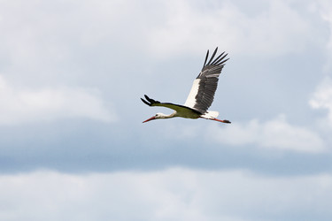 Similar image 21148786