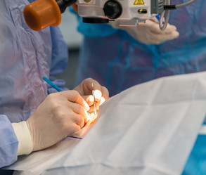 Similar image 21162445