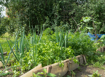 Similar image 21162787