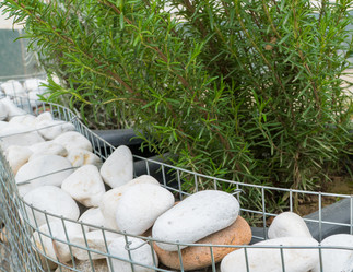 Similar image 21163260