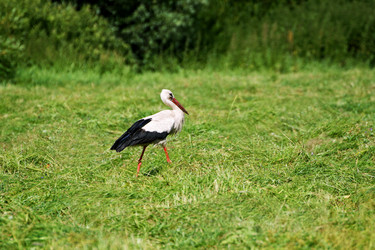 Similar image 21148788