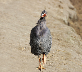 Similar image 21148791