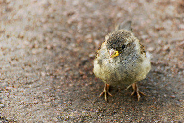 Similar image 21148792