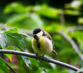 Similar image 21148793