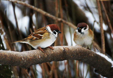 Similar image 21148794