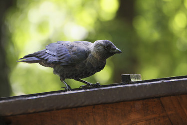 Similar image 21147500