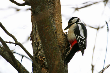 Similar image 21147502